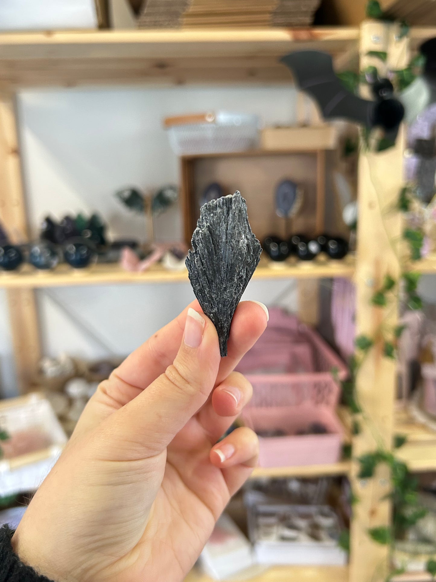 Raw Black Kyanite