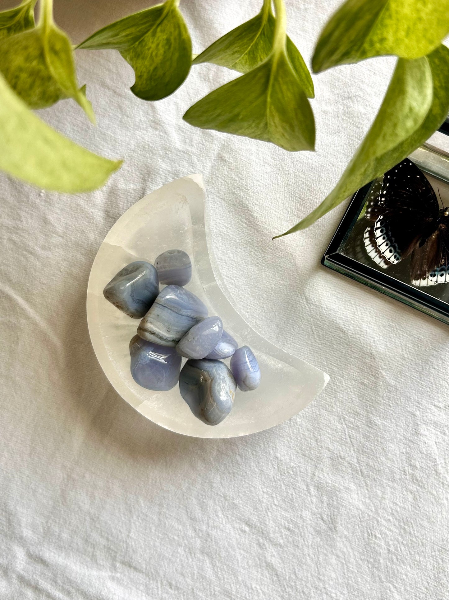 Blue Lace Agate Tumble
