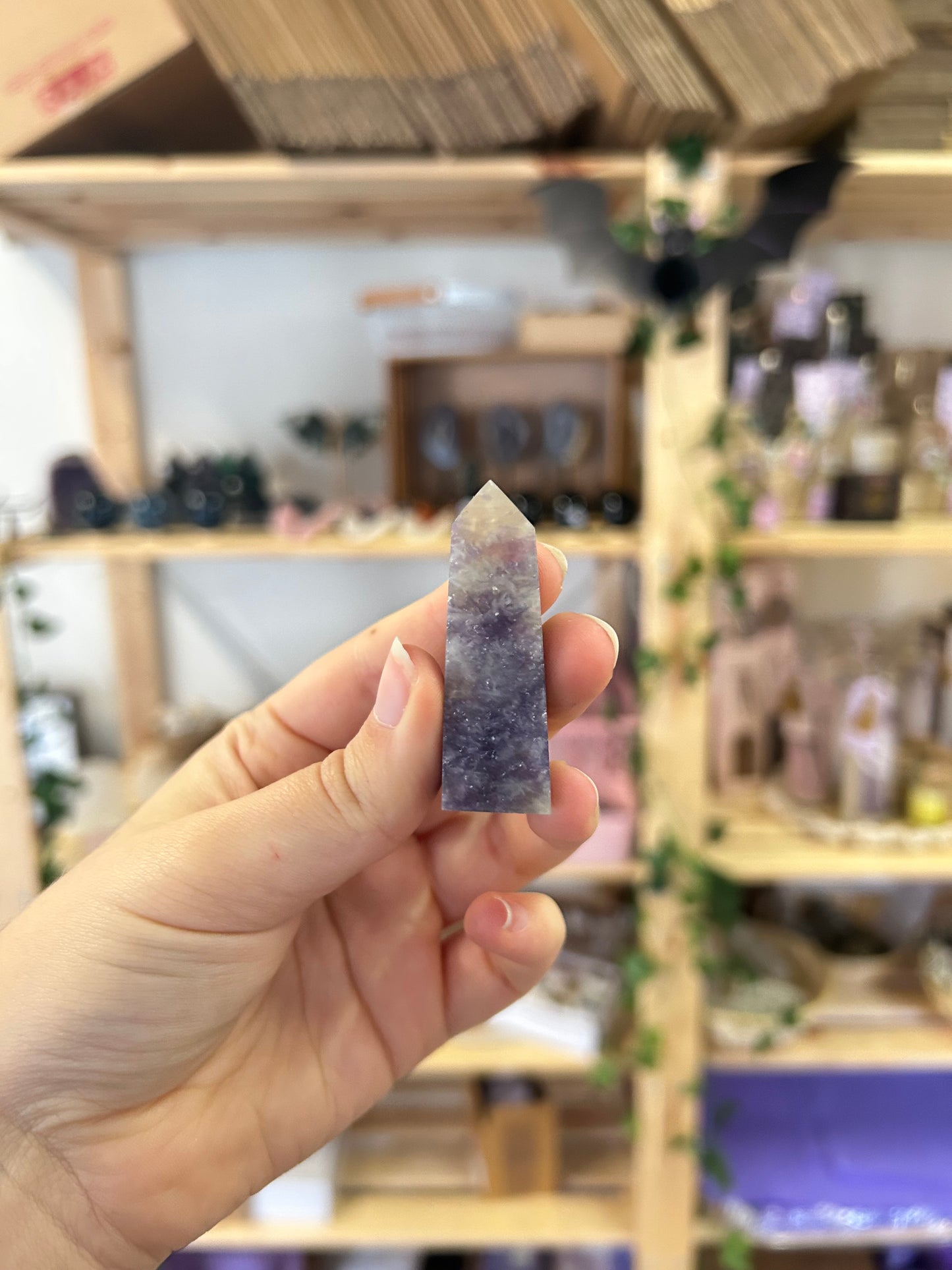 Lepidolite With Pink Tourmaline Tower