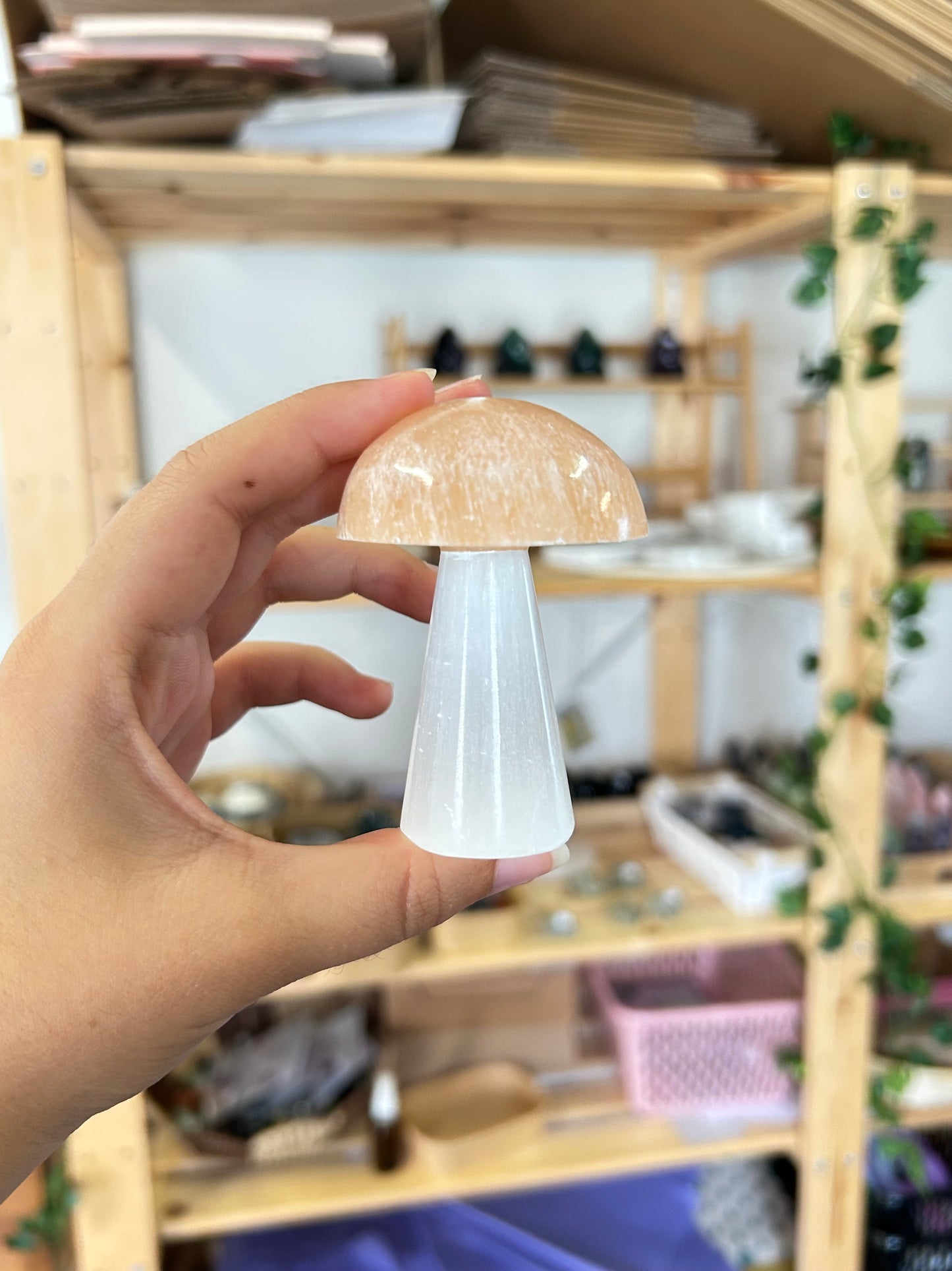 Selenite Mushroom White-Orange