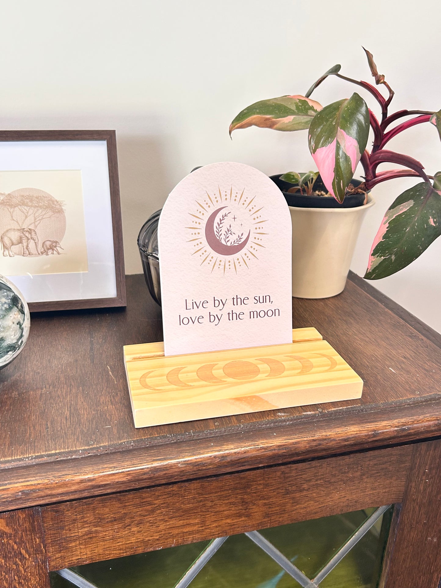 Moth Affirmation Cards With Stand