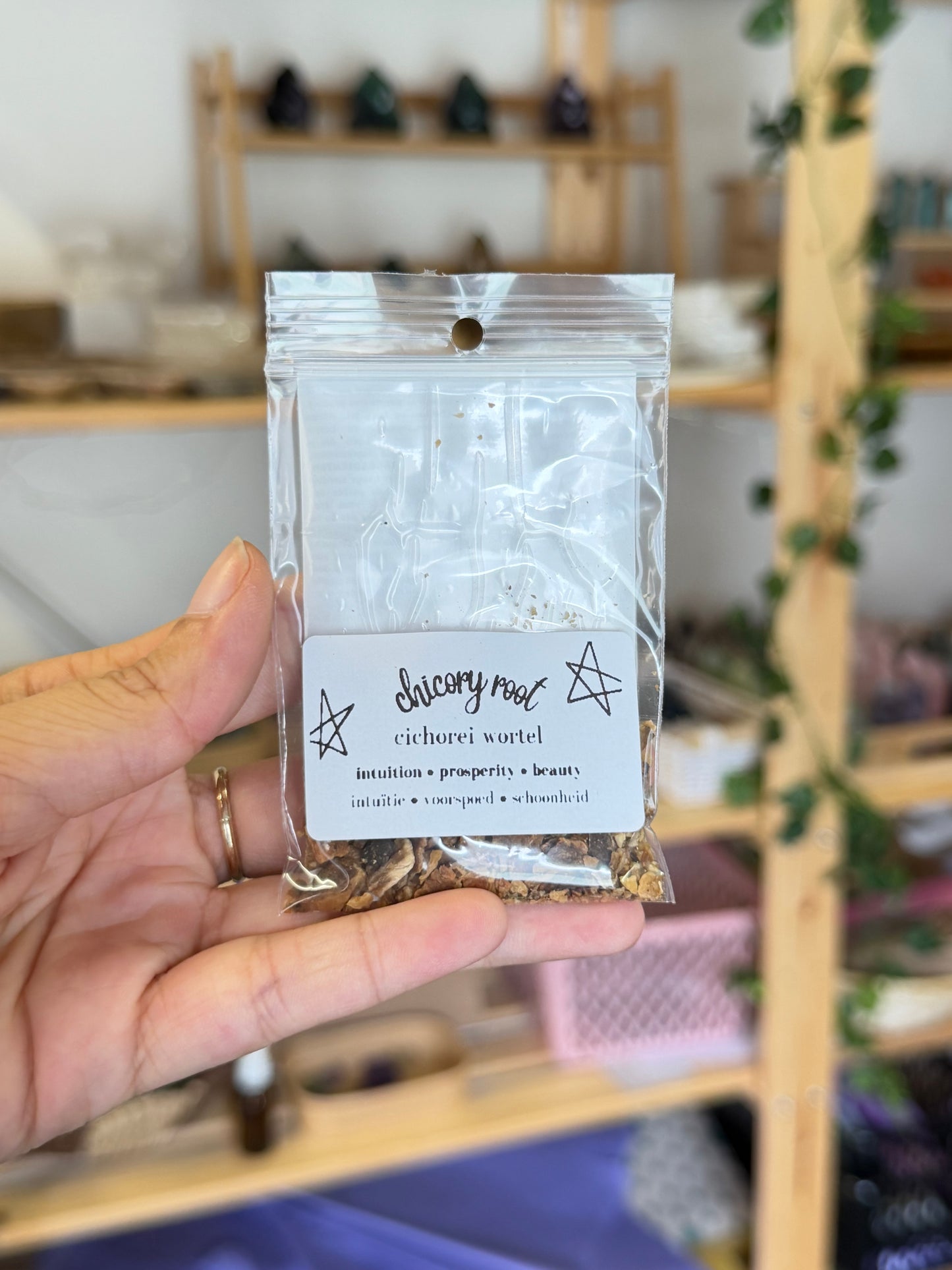 Chicory Root
