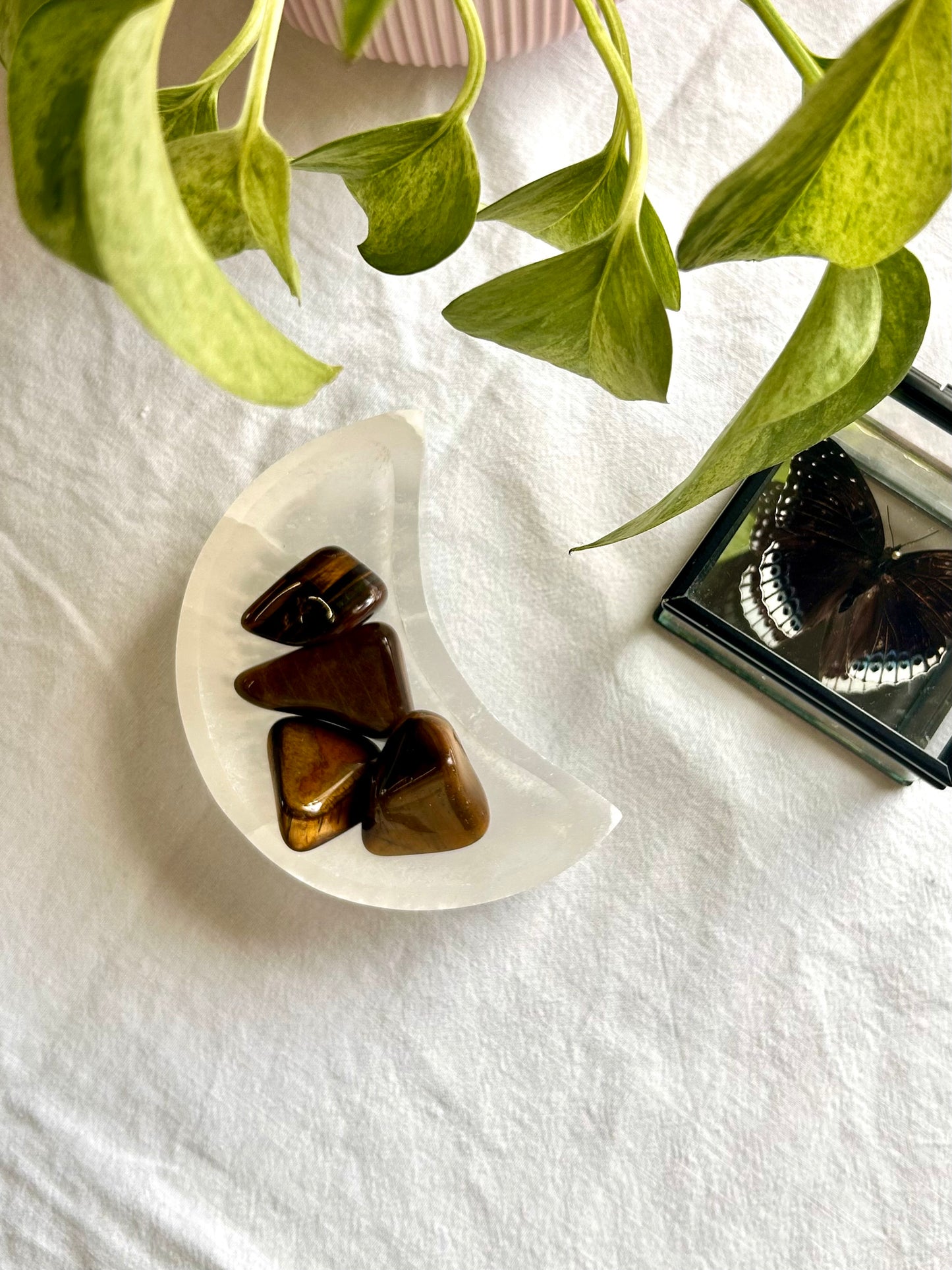 Tigers Eye Tumble