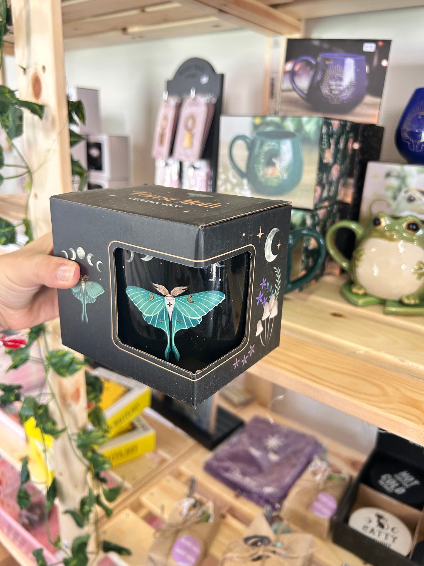 Moth With Moon Phases Mug