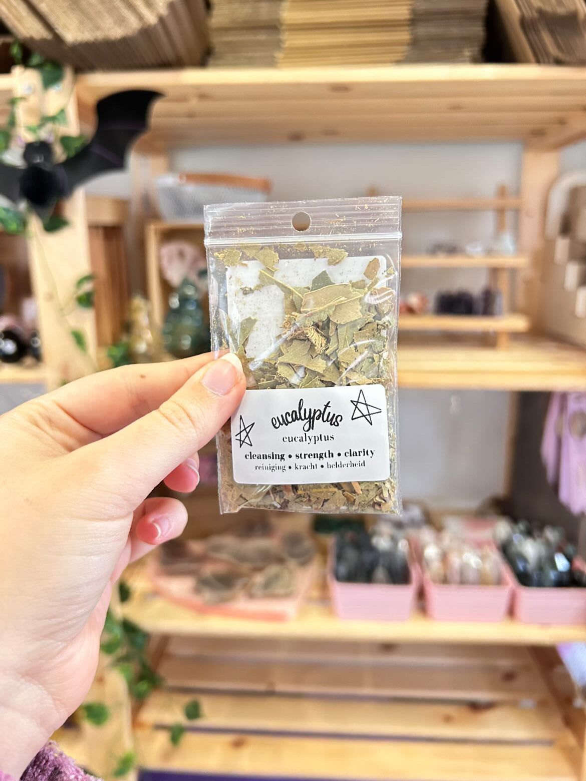 Eucalyptus