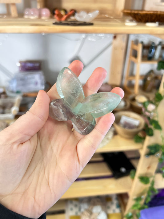 Fluorite Butterfly