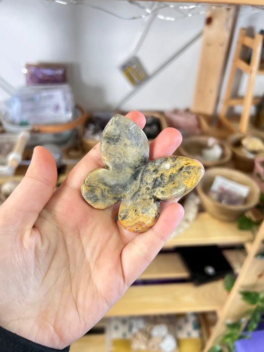 Crazy Lace Agate Butterfly