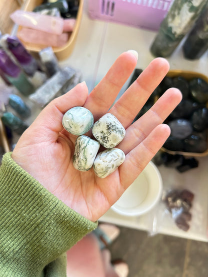 Tree Agate Tumble