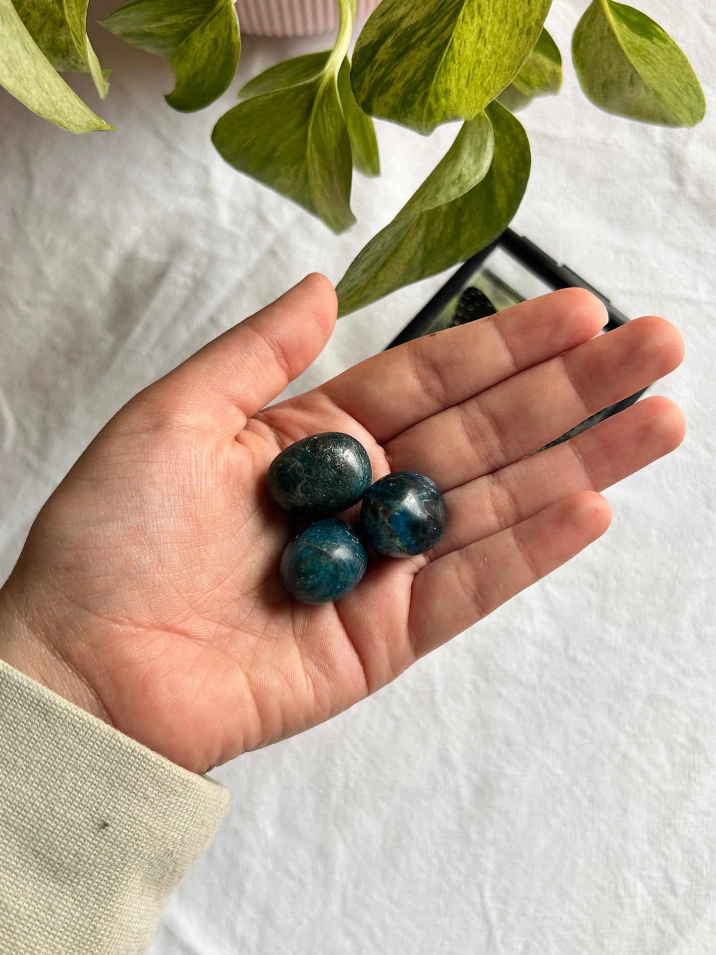 Blue Apatite Tumble