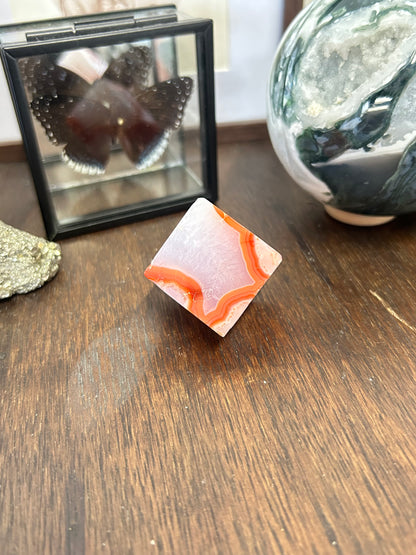 Carnelian x Flower Agate Cube