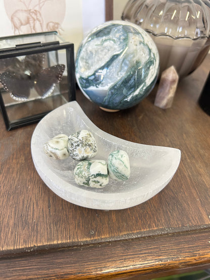 Tree Agate Tumble