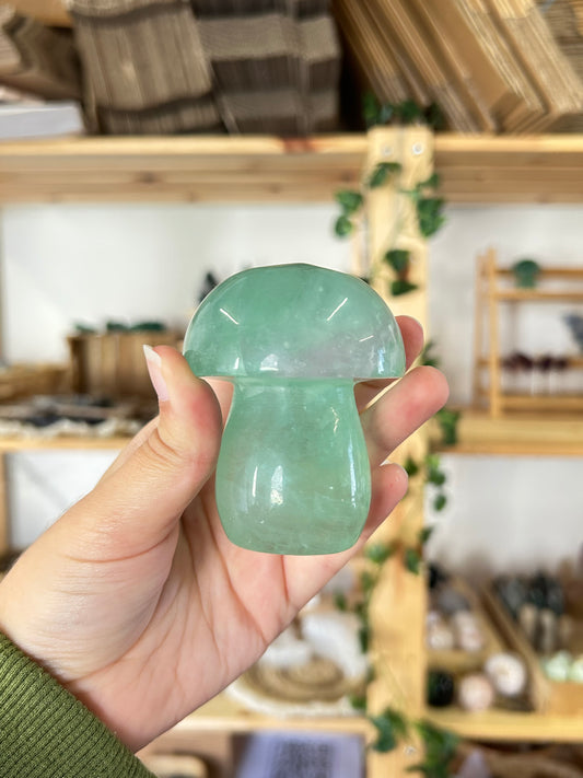 Fluorite Mushroom H