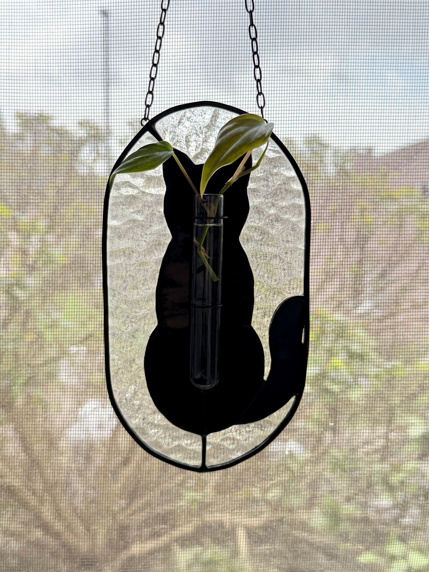 Black Cat Plant Propagation Stained Glass